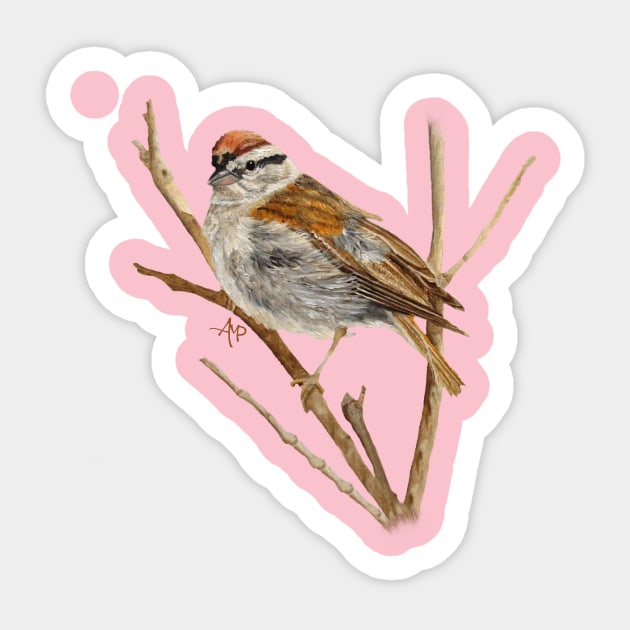 Perched Chipping Sparrow Sticker by ampomata